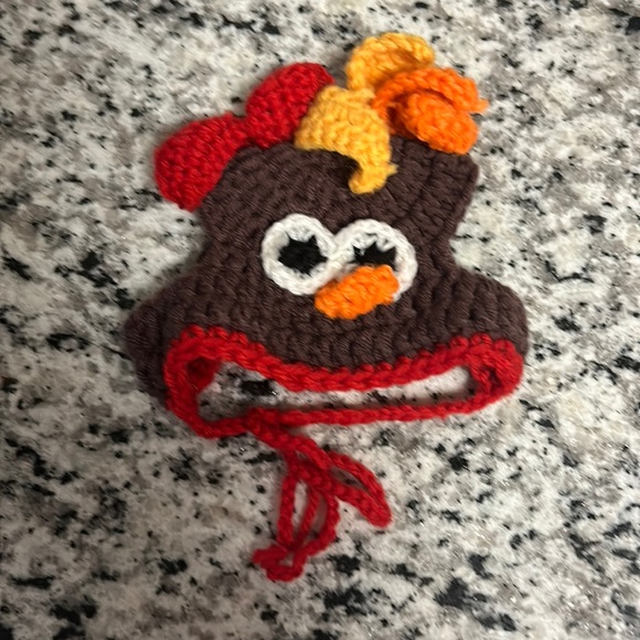 - Turkey Thanksgiving Hat for Dog or Cat - Picture 1 of 11